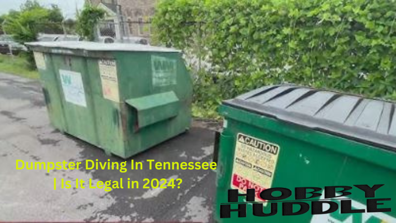 Dumpster Diving In Tennessee Is It Legal in 2024