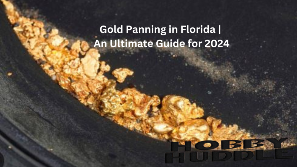 Gold Panning in Florida