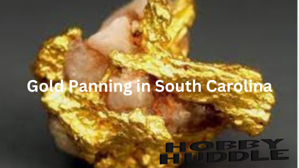 Gold Panning in South Carolina